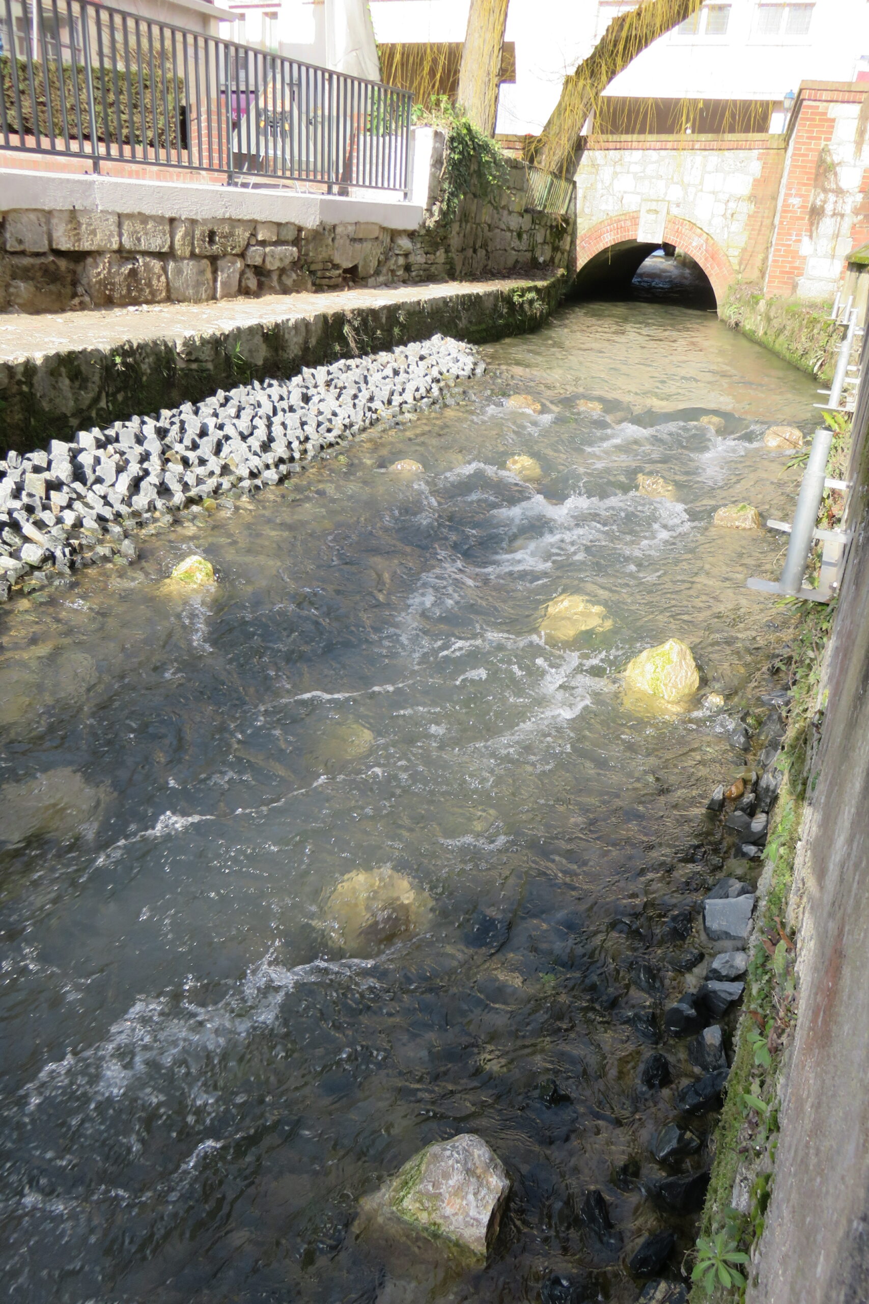 Caudebec en Caux Continuité écologique Sogeti Ingénierie